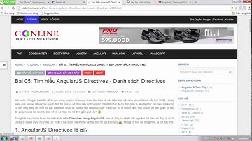 007 - AngularJS cơ bản - Directive