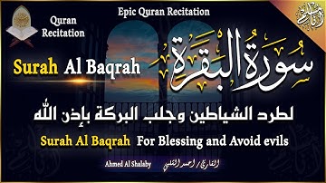 سورة البقرة كاملة لحفظ وتحصين المنزل وطرد الشياطين تلاوة عذبة هادئة Surah Al Baqarah