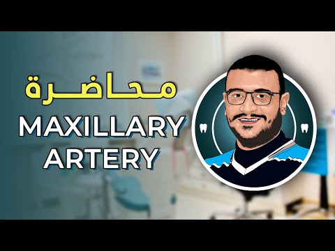 المحاضرة التاسعة - Maxillary Artery