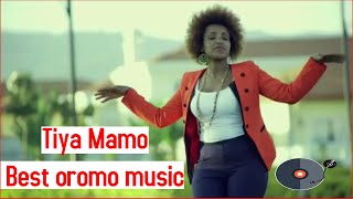 Tiya mamo-New Ethiopian Oromo Music 2022|Ethiopian wedding music2022| Addis Ababa 2022