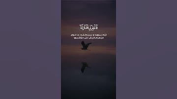 سورة القصص رعد الكردي