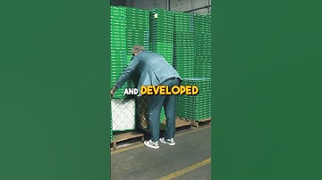 How to Delegate Without Losing Control