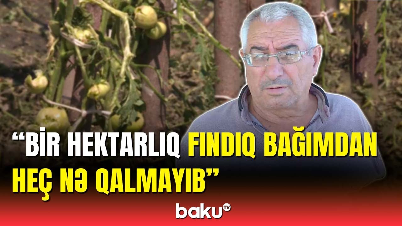 Təbii fəlakət kəndlilərə ziyan vurdu | Zaqatala