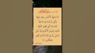 #القران_كريم 🎆 #سورة #الزمر #استغفر_الله_واتوب_إليه_استغفر_الله_العظيم 🏵