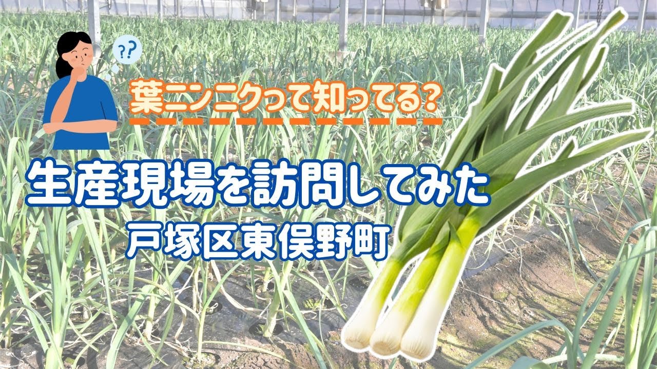 【Agri横浜2026年3月号】「葉ニンニク」って知ってる？｜生産現場を訪問してみた