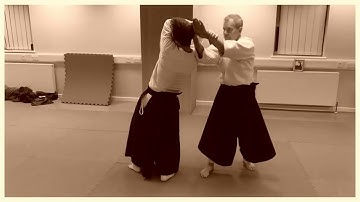 Aikido : working the hips