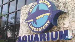 SNN: Mote Marine Laboratory’s ozone treatment system to remove red tide in canals