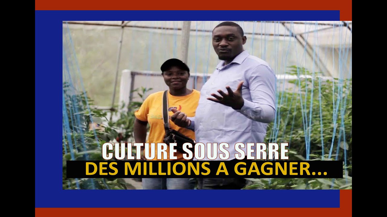 Se Faire des millions avec la culture sous serre en peu de temps