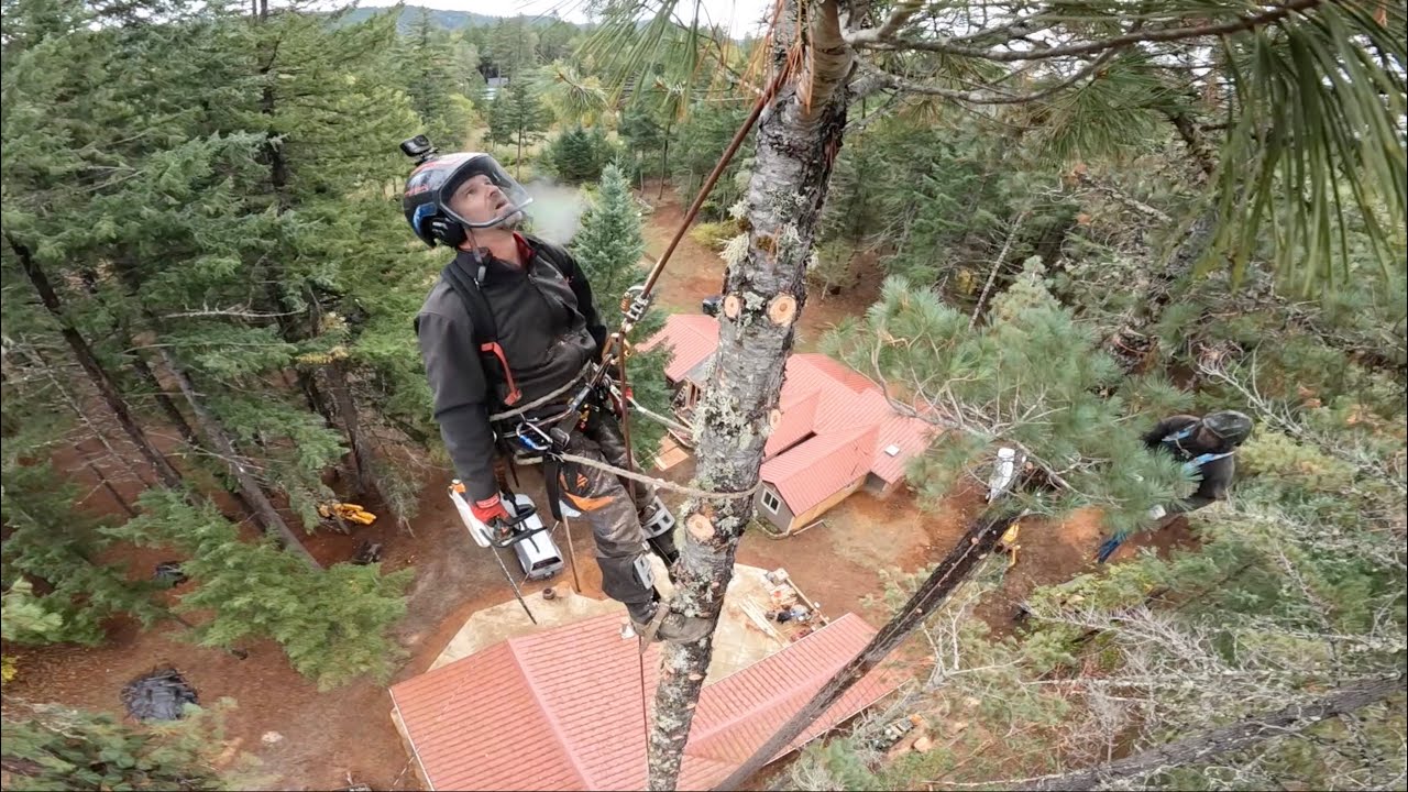 Getting Scared at the High Heights