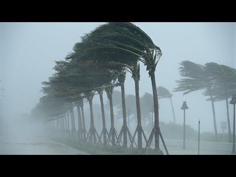 Video: Na Floridi So žensko Našli Mrtvo