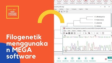 Tutorial Rekonstruksi Pohon Filogenetik Menggunaka MEGA| Lengkap dengan penjelasan, mudah dimengerti
