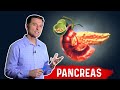 The Function Of Pancreas & Pancreatitis: Dr Berg On Pancreatic Insufficiency