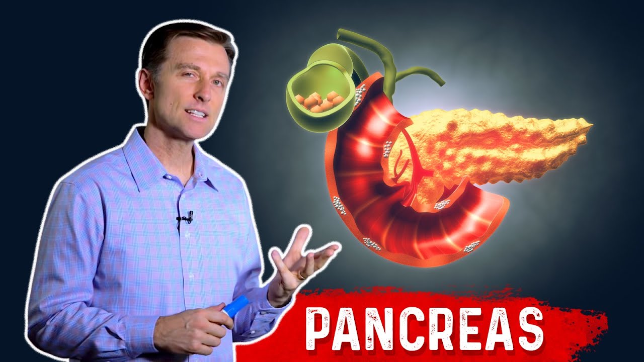 ⁣The Function Of Pancreas & Pancreatitis – Dr. Berg﻿ on Pancreatic Insufficiency