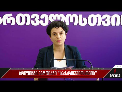 ბრიფინგი პარტიაში „საქართველოსთვის“