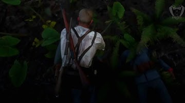 Red Dead Redemption 2 - Random Encounter - Pitfall Trap - Guarma (PS4)