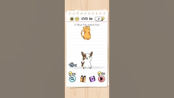 Brain test level 166