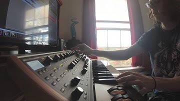 Moog Subsequent37+Strymon Big Sky