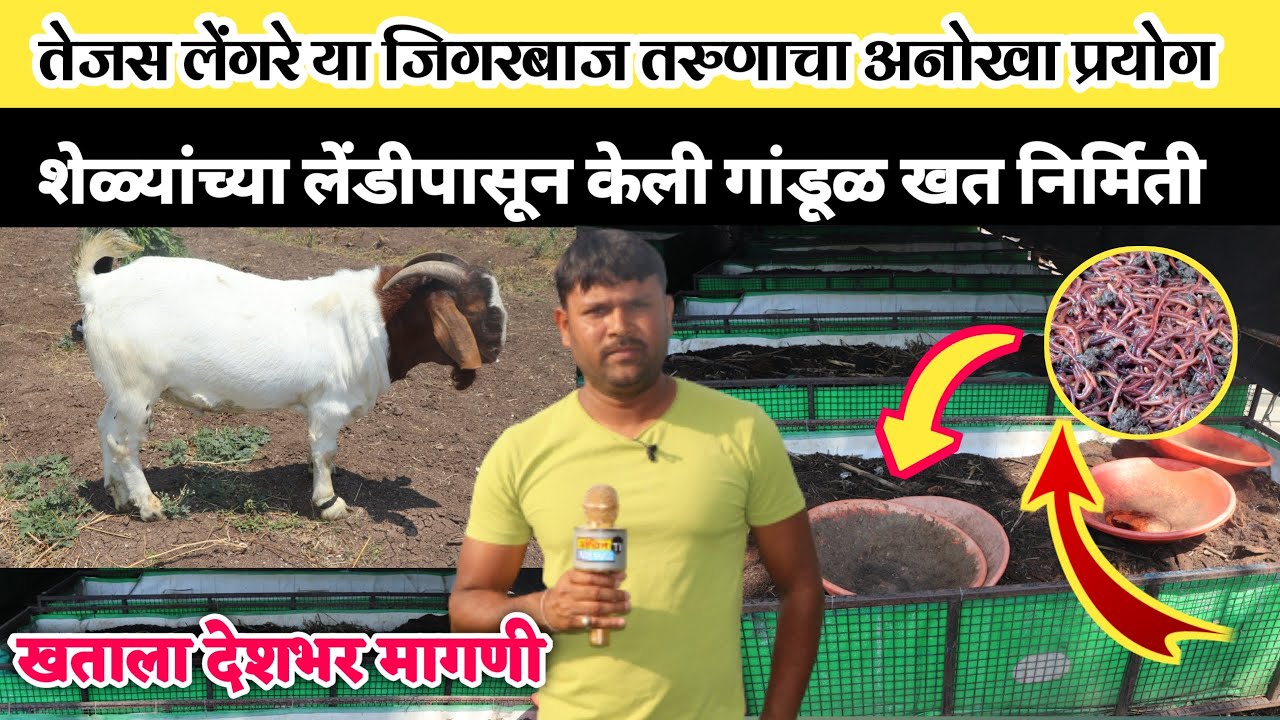 जिगरबाज तरुणाचा अनोखा प्रयोग पाहून तुम्हालाही गर्व वाटेल, शेळ्यांच्या लेंडीपासून गांडूळखत निर्मिती