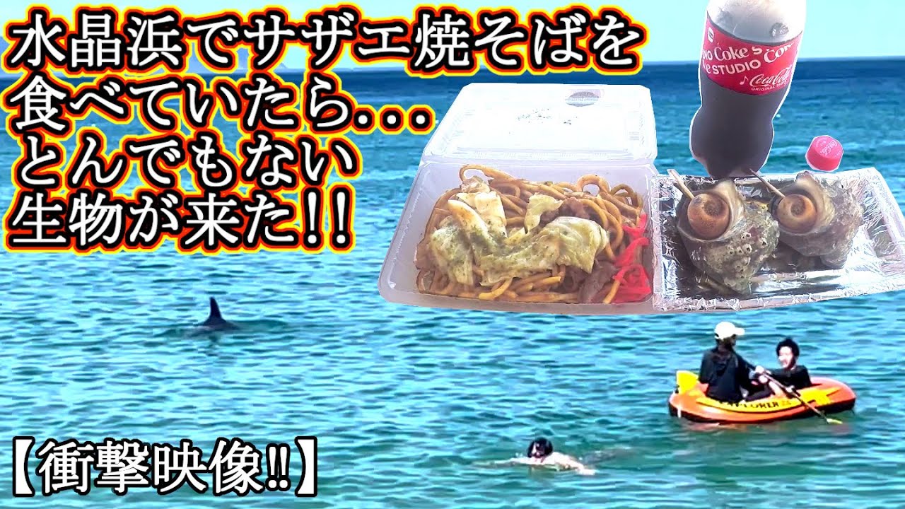 水晶浜 イルカ 衝撃映像‼ 海水浴場 福井県 敦賀 ライブカメラ 海の家 YouTube 水晶浜 イルカ 衝撃映像‼ 海水浴場 福井県 敦賀 ライブカメラ 海の家 YouTube