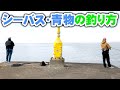 シーバス・青物のカンタンな釣り方！【YOSHIKI】 の動画、YouTube動画。