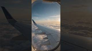 ✈️📱 Flight Me Airplane Mode On Karna Zaroori Kyu Hota Hai? 😱 #viralupdate #viralmoment #viral