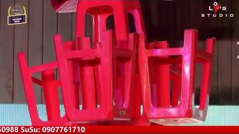 Thật kinh ngạc khi xem Cát Thy biểu diễn Xiếc