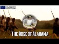 Rose of Alabama