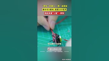 最长仅2厘米，载重200毫克 昆虫”机器人 “爬”进现实 #仿生机器人 #小强 #昆虫