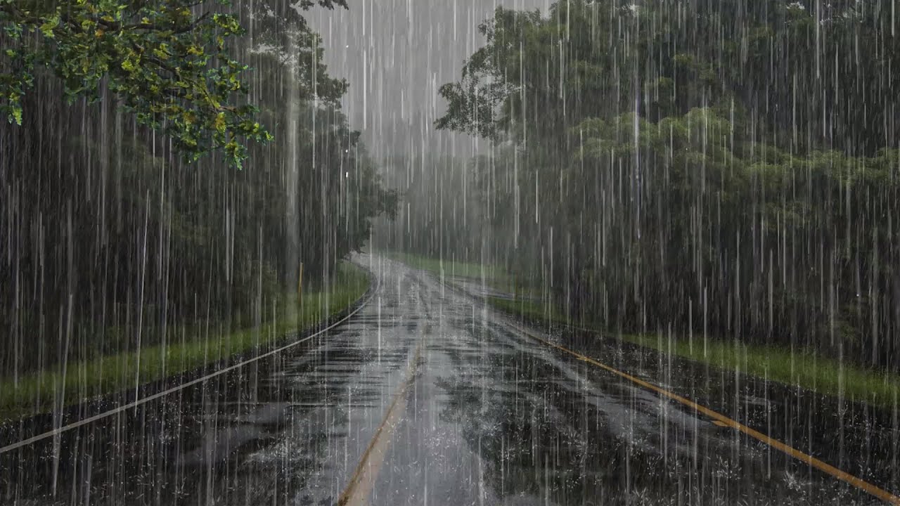 Sonido de Lluvia para Dormir Profundamente y Relajarse en 5 Minutos - Lluvia Relajante en el Bosque