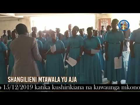 Video: Je, unatumiaje mtawala wa mwashi wa matofali?