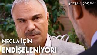 Ali Rıza, Oğuzun Adresini Buldu - Yaprak Dökümü Özel 