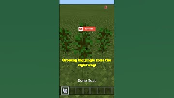Minecraft Growing big jungle trees right...#shorts #trending #viralvideo #reccomended #gaming #viral