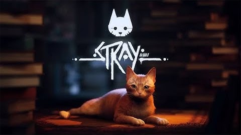 Stray [BUGS]