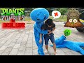 Plants VS Zombies IN REAL LIFE  3 (by MVT JantZ)