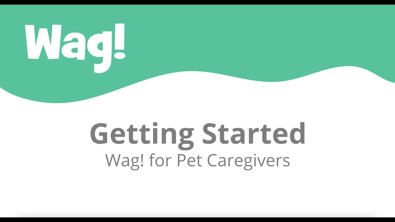 How To Become A Dog Walker With Wag!