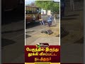       shorts  trichy  conductor
