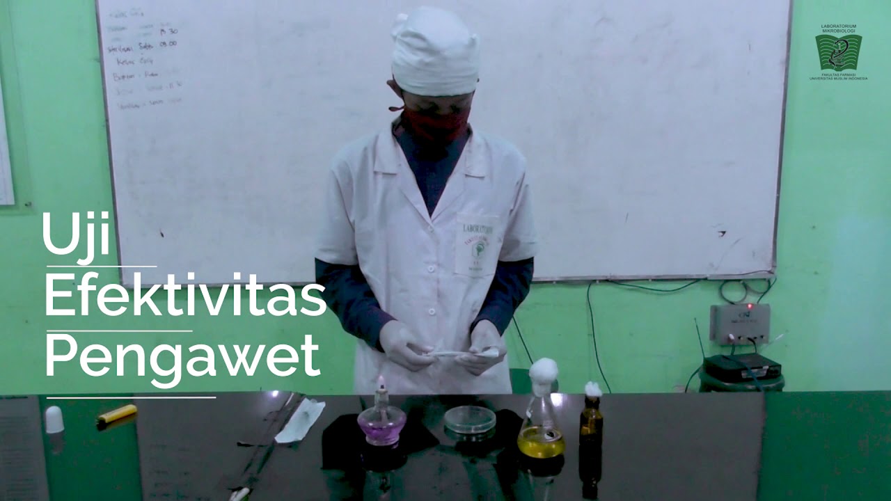 Analisis Efektivitas Pengawet