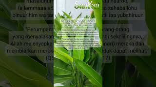Download Lagu Surah Al Baqarah ayat 15 - 17 #murottal #viral MP3 Download Lagu Surah Al Baqarah ayat 15 - 17 #murottal #viral MP3