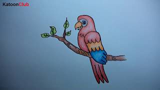 How to Draw Parrot Cartoon Easy Step by Step