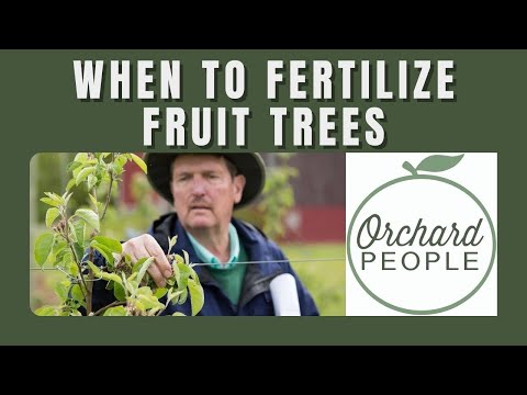 When to FERTILIZE APPLE TREES 🍎 🍐 🍑 and Other Fruit Trees