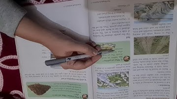 class : 4th Sub : Science Ch:9 Rocks and soil Part:3