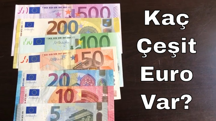Kaç Çeşit Euro Banknot Var? Euro Çeşitleri