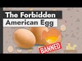 Why US Produced Eggs Are Banned Across Europe (&amp; vice versa)