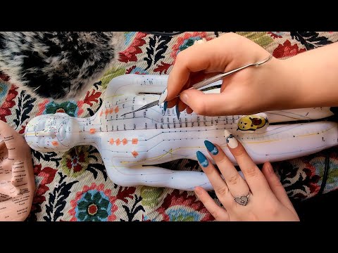 ASMR Acupuncture Man Doll massage 😳 tapping and scratching 💕