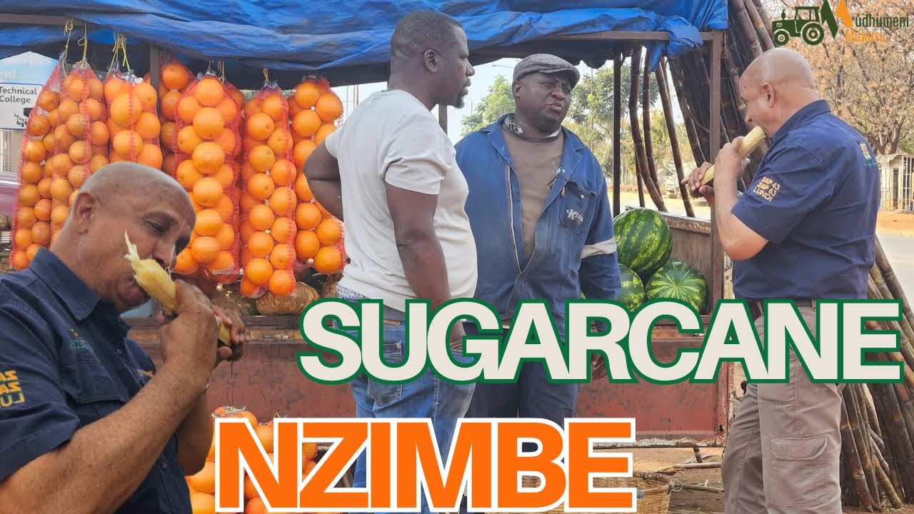 Kudya nzimbe kuzvigadzirira hutano