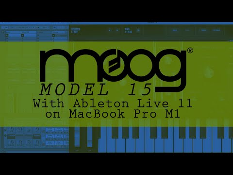 Using Moog Model
