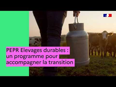 PEPR Elevages durables : un programme pour accompagner la transition
