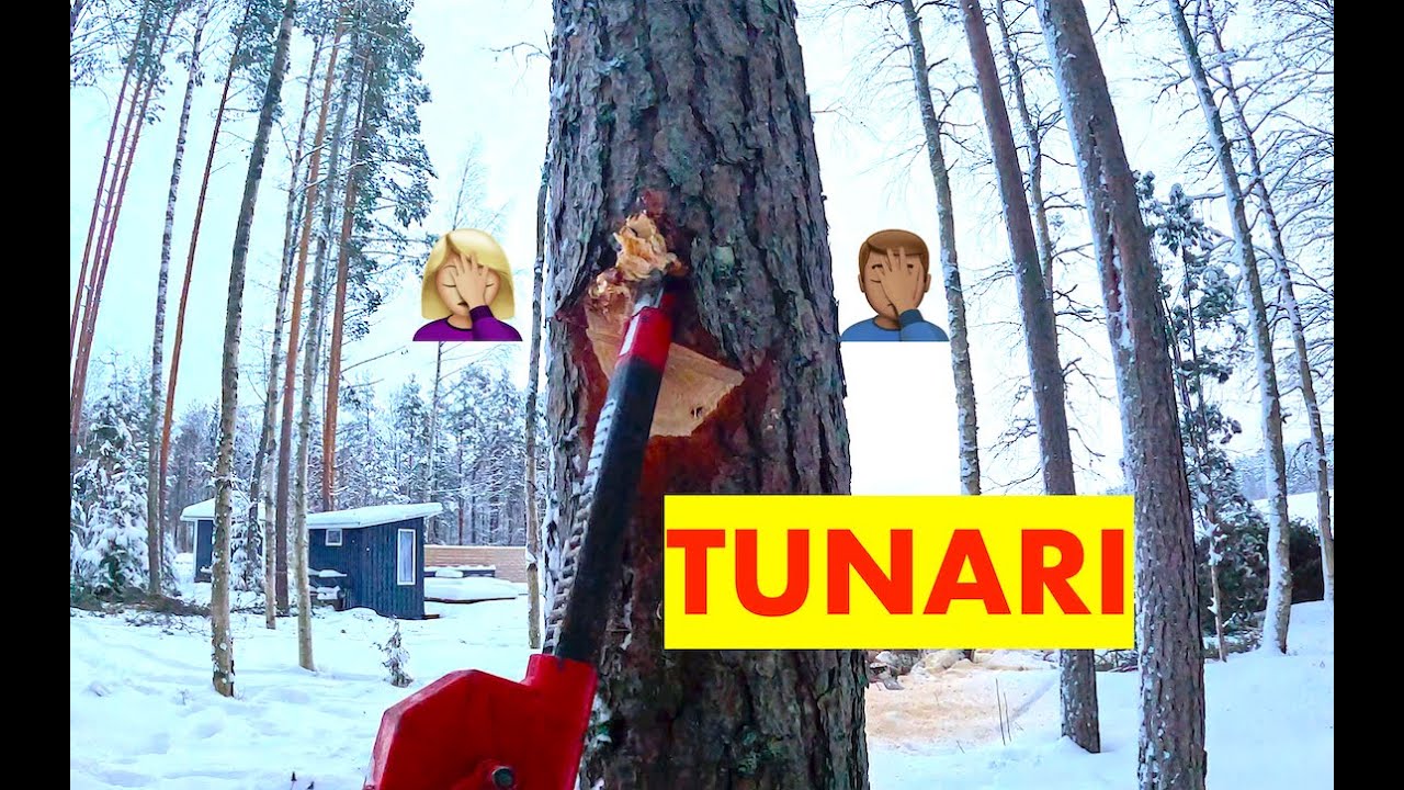 Kyllä tämä on välillä melkoista tusaamista. Pro Finnish Lumberjack and Husqvarna Chainsaw.