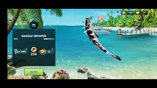 Fishing Clash Full Gameplay | Florida Coast Fishing Mission