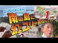 【園芸】第1話「幻のユリ ジョージア」